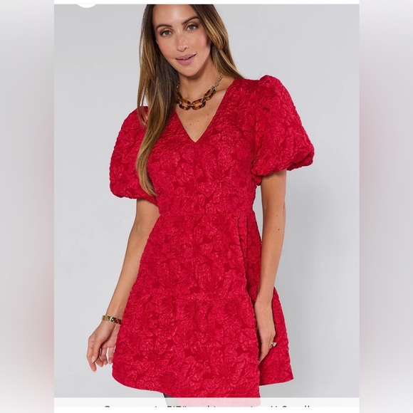 NWT Russa May Floral Jacquard Tiered Mini Sugar Lips Small Red Brocade Dress - Picture 2 of 5